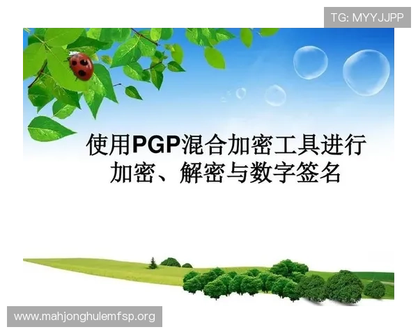 PGP在线解密工具详细教程，帮助新手快速掌握解密流程与安全操作技巧