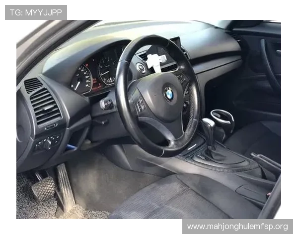 宝马线上娱乐登录操作指南，详细步骤帮助新手快速上手畅玩无障碍